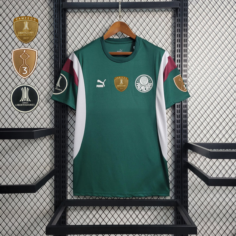 Camisa SE Palmeiras 2023/24 Treino Verde