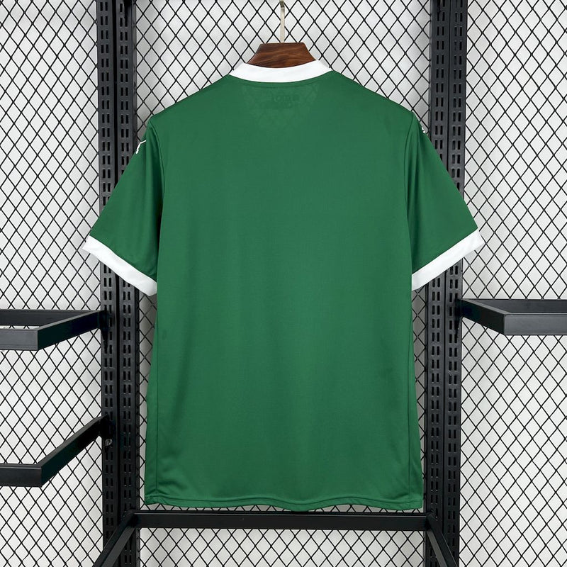 Camisa SE Palmeiras 2025/26 Home