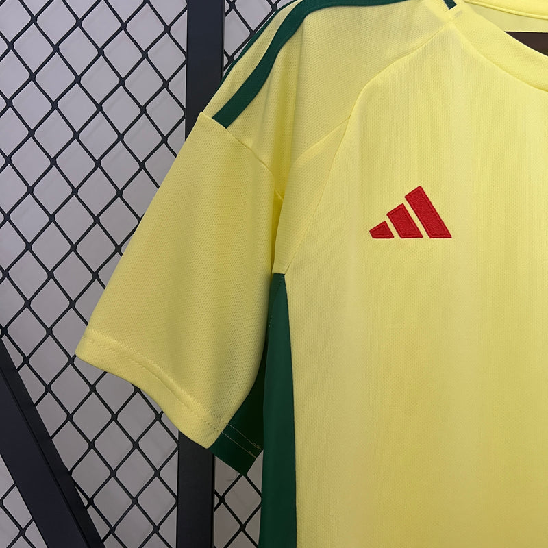 Camisa Seleção País de Gales 2024/25 Away