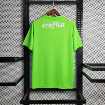 Camisa SE Palmeiras 2023/24 Goleiro Verde