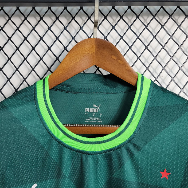 Camisa SE Palmeiras 2023/24 Home